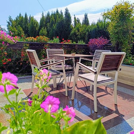 Vila Sentic Vranje Exterior foto
