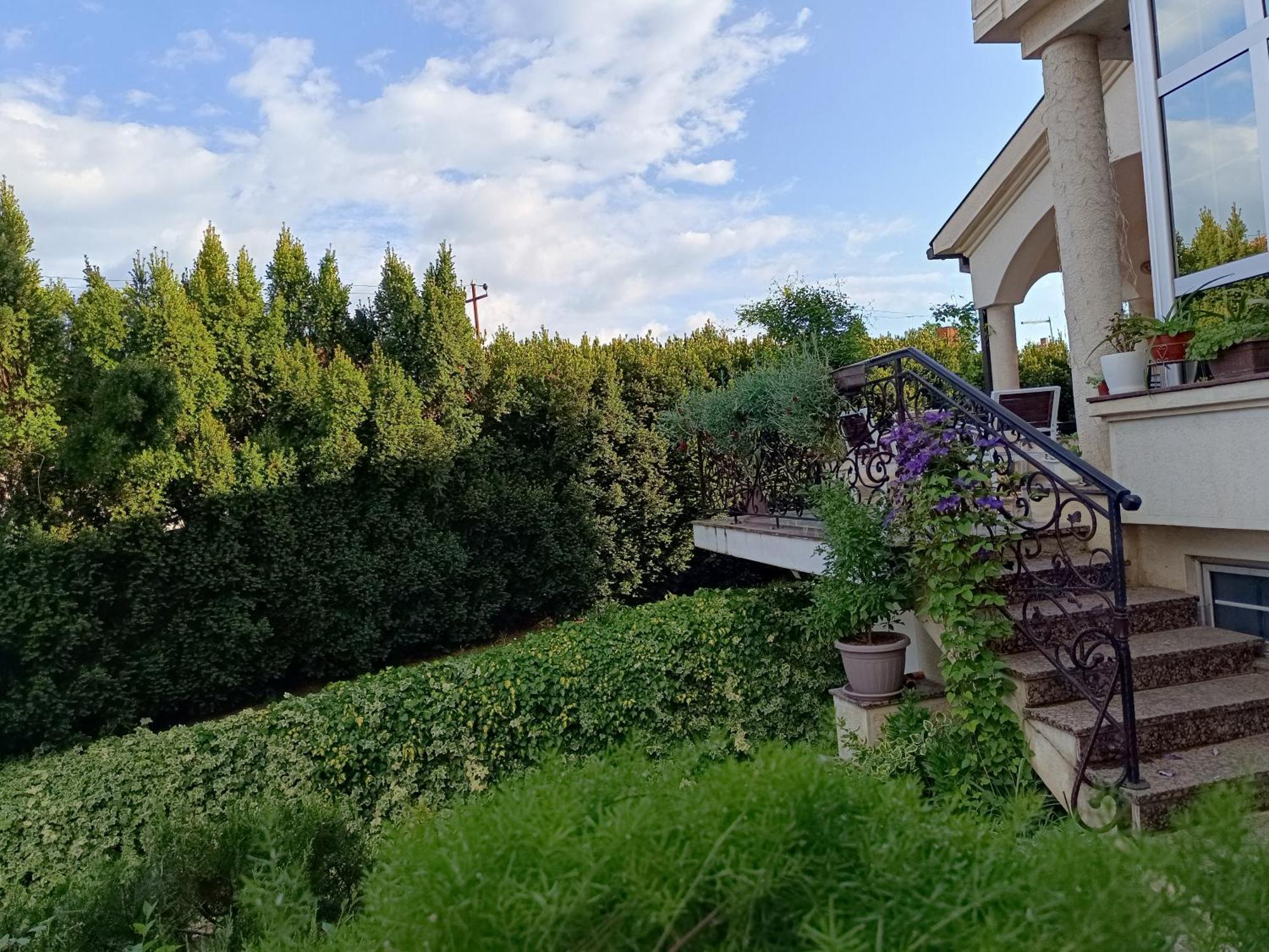 Vila Sentic Vranje Exterior foto
