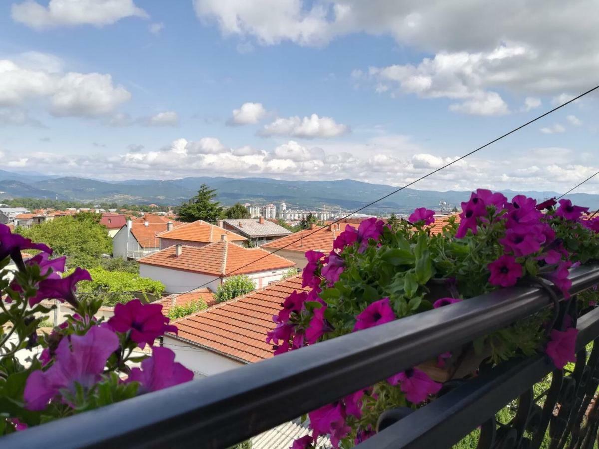 Vila Sentic Vranje Exterior foto