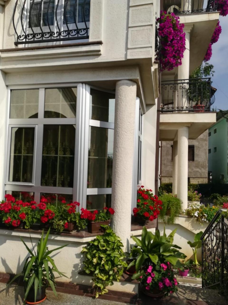 Vila Sentic Vranje Exterior foto